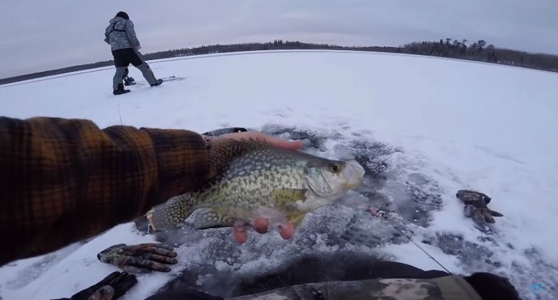 Introduction to ice fishing live casino